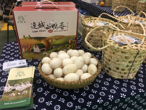 2018 特食展 特色 特有 特種食品大聯(lián)展