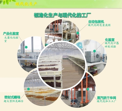 【同享】食品嶺南特色廣式加應(yīng)子蜜餞果脯涼果類(lèi)零食125g&times;10【全國(guó)包郵】